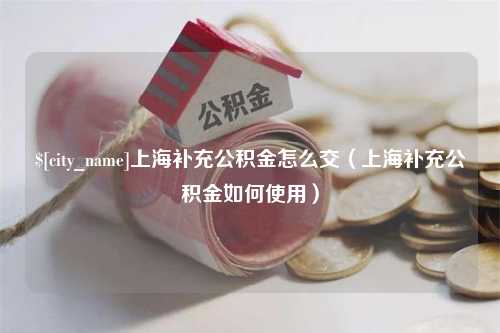 孝感上海补充公积金怎么交（上海补充公积金如何使用）